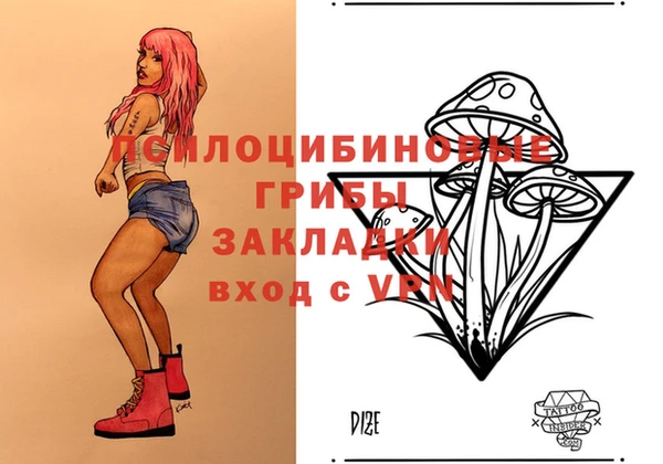 кокс Абаза