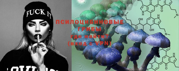 бошки Абинск