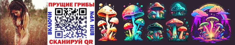 купить наркоту  Терек  Галлюциногенные грибы MAGIC MUSHROOMS 